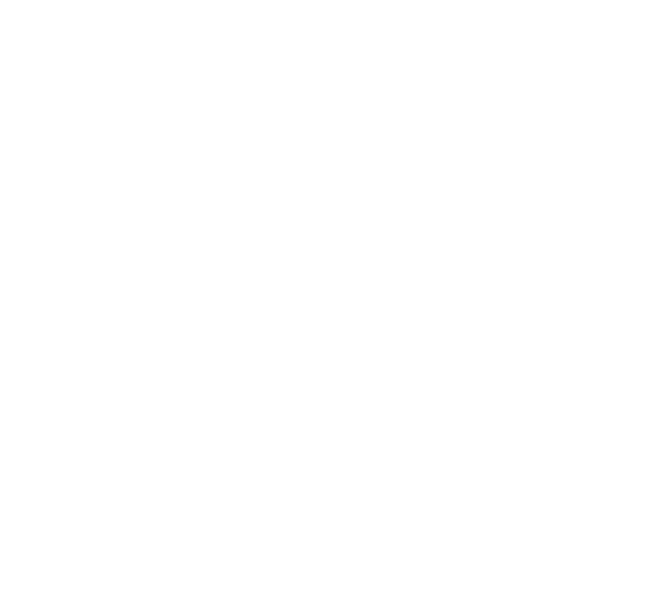 logo main